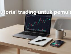 Tips & Trik Trading Pemula yang Jarang Diajarkan di Mana-Mana